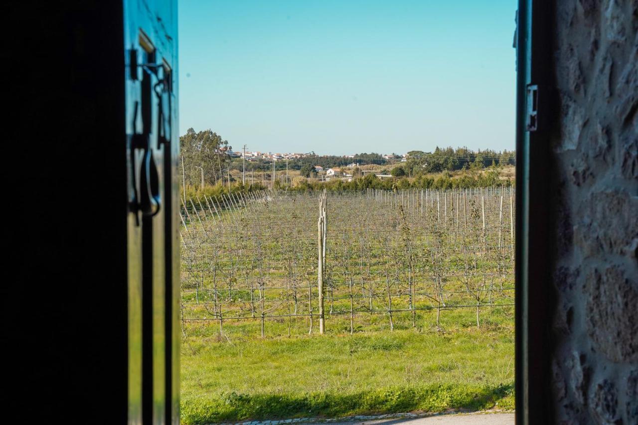 Casa Rustica, Perto Do Castelo De Obidos 빌라 외부 사진